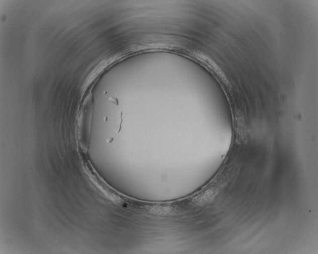 X0000071790890200607211619