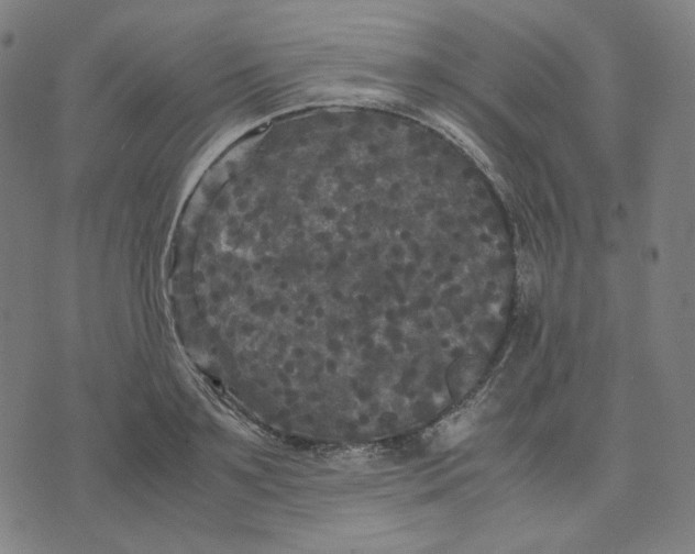 X0000071790891200607211619