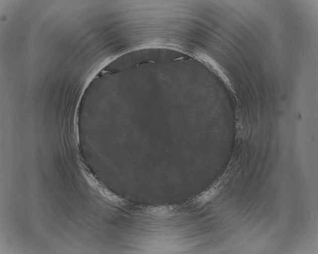 X0000071790892200607211619