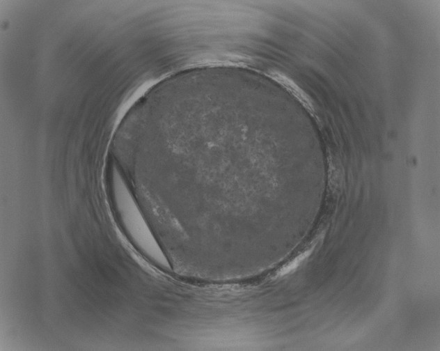 X0000071790893200607211619