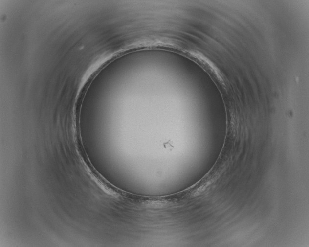 X0000071790894200607211619