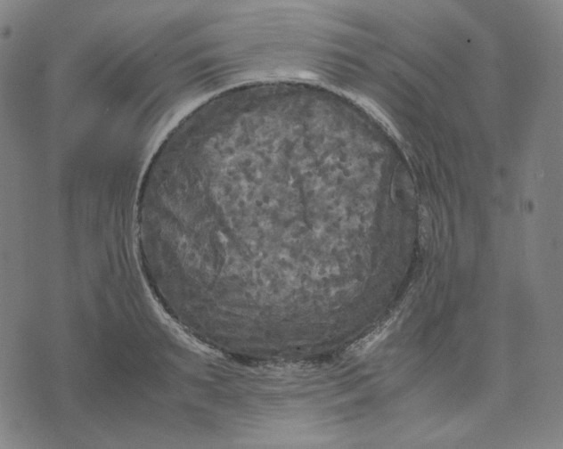 X0000071790895200607211619