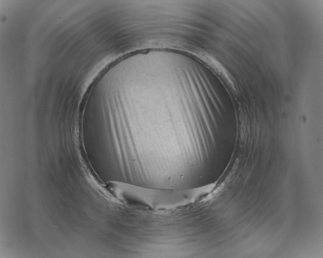 X0000071790896200607211619