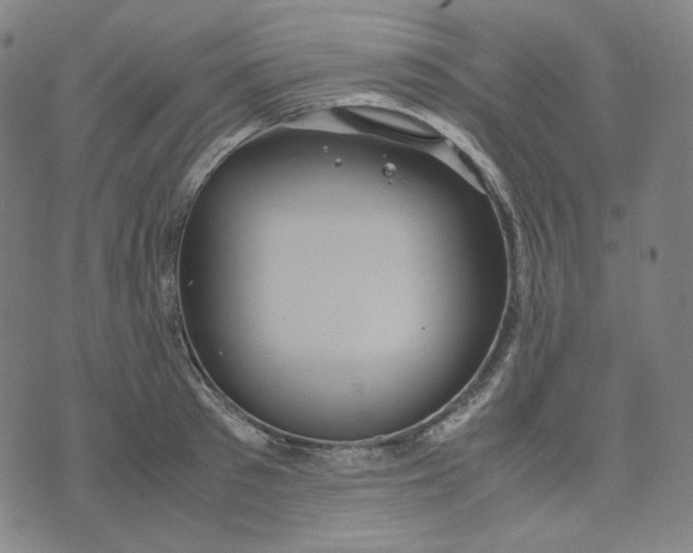 X0000071790897200607211619