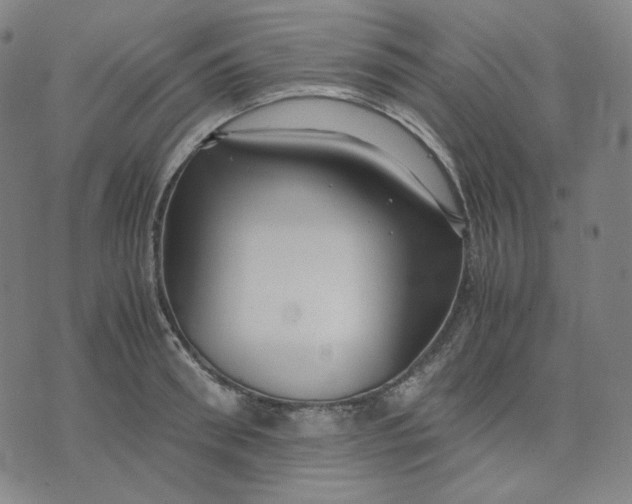 X0000071790898200607211619