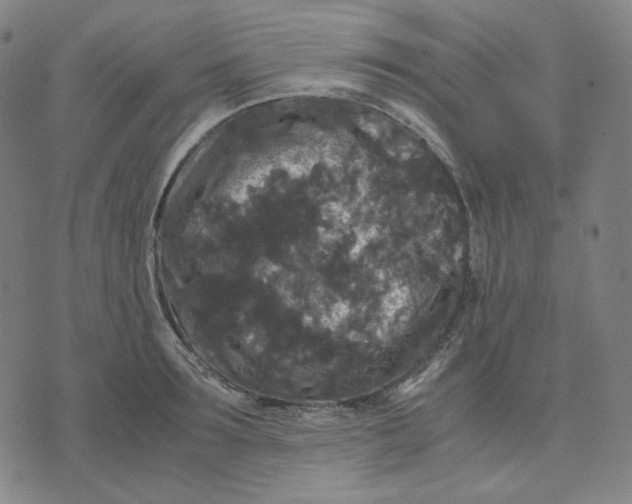 X0000071790899200607211619