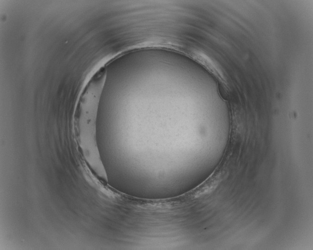 X0000071790900200607211619