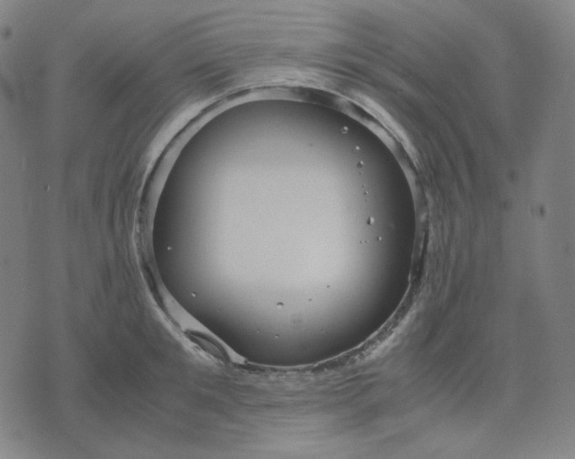 X0000071790901200607211619