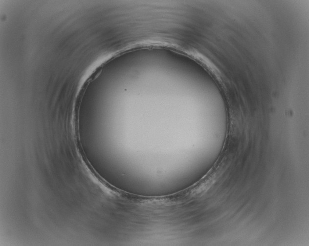 X0000071790902200607211619