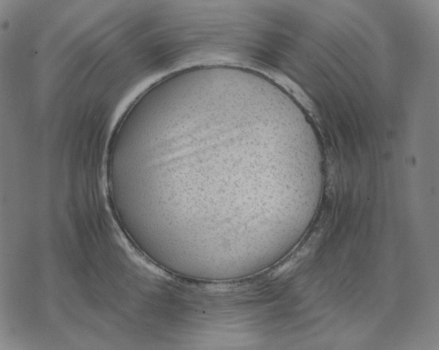 X0000071790904200607211619