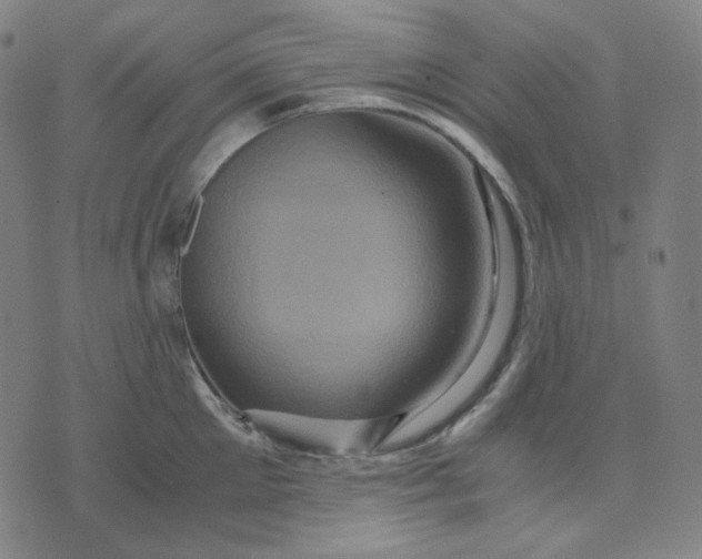 X0000071790905200607211619