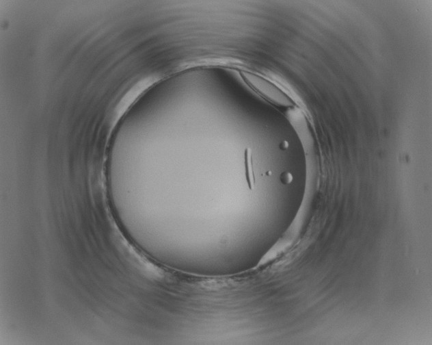 X0000071790906200607211619