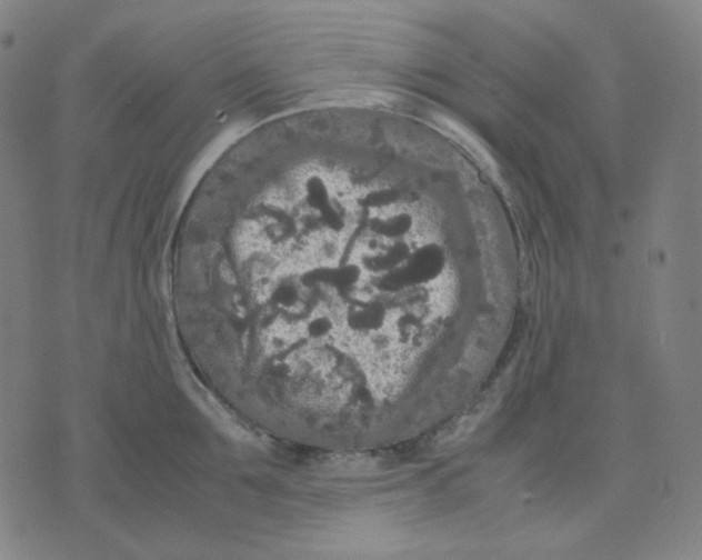 X0000071790907200607211619