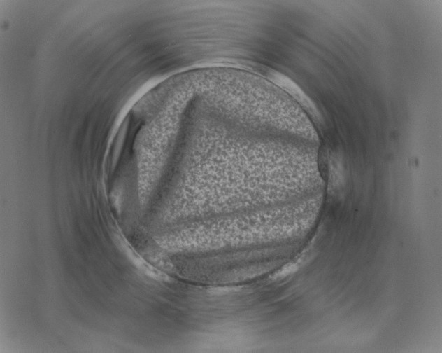 X0000071790908200607211619