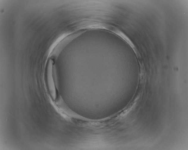 X0000071790909200607211619