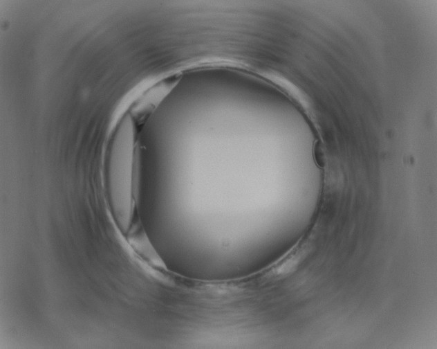 X0000071790910200607211619