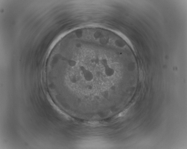 X0000071790911200607211619