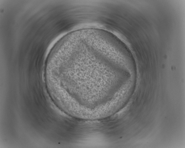 X0000071790912200607211619