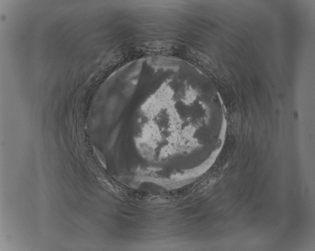 X0000071790913200607211618