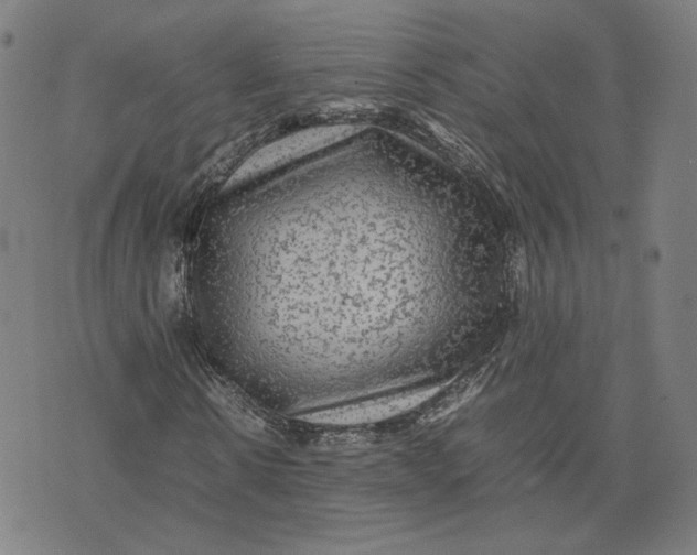 X0000071790914200607211618