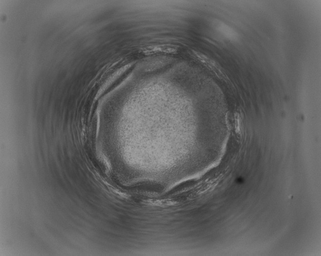 X0000071790915200607211618