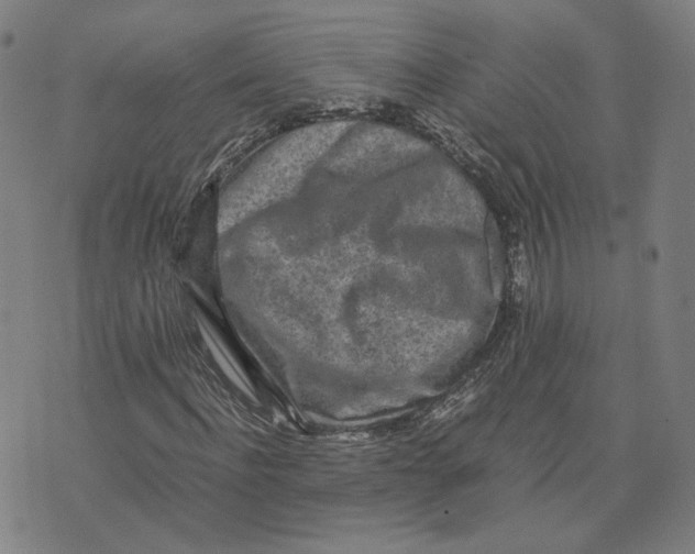 X0000071790916200607211618