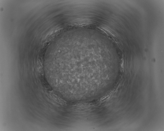 X0000071790917200607211618