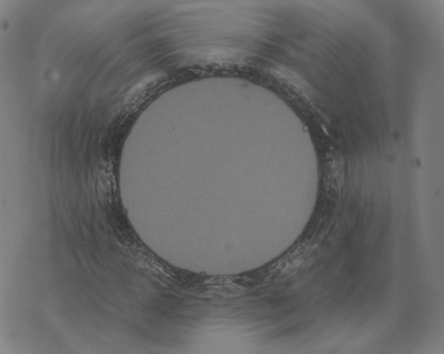 X0000071790918200607211618