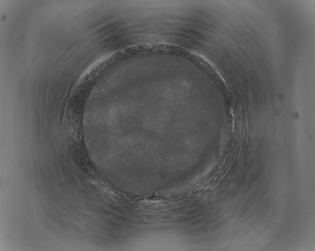 X0000071790919200607211618