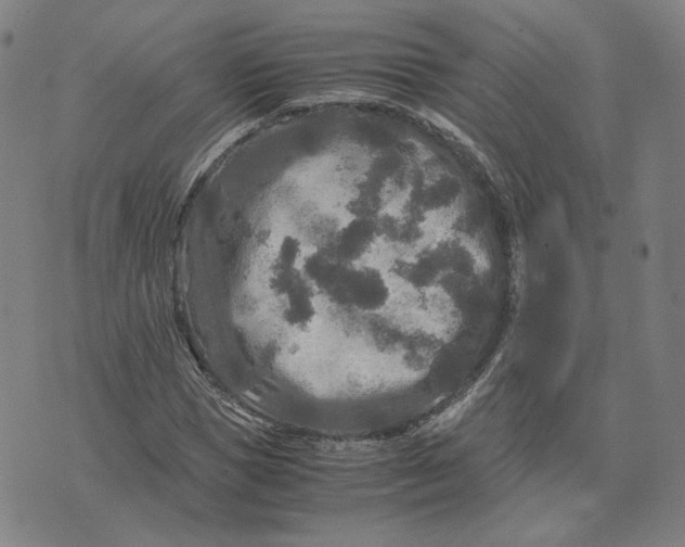 X0000071790921200607211618