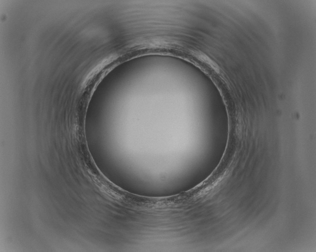 X0000071790922200607211618