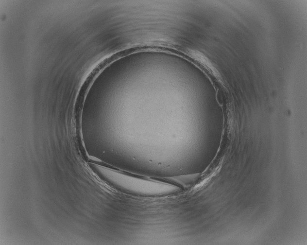 X0000071790924200607211618