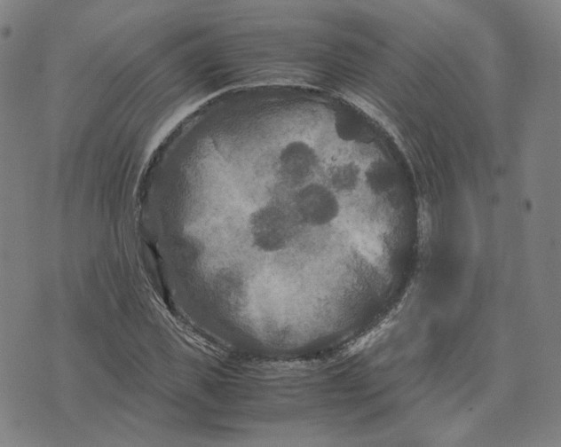 X0000071790925200607211618