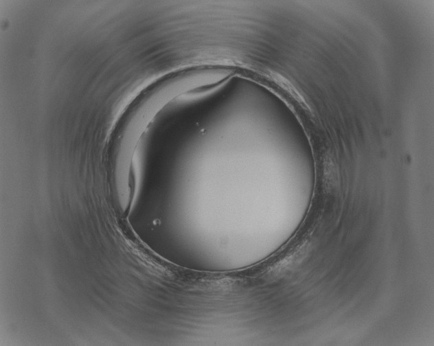 X0000071790926200607211618