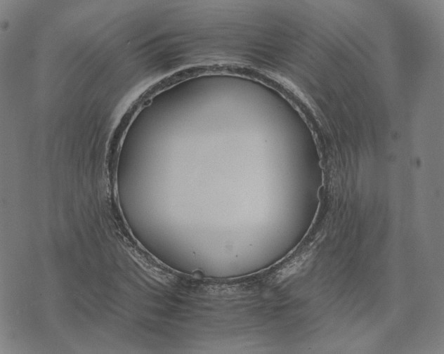 X0000071790927200607211618