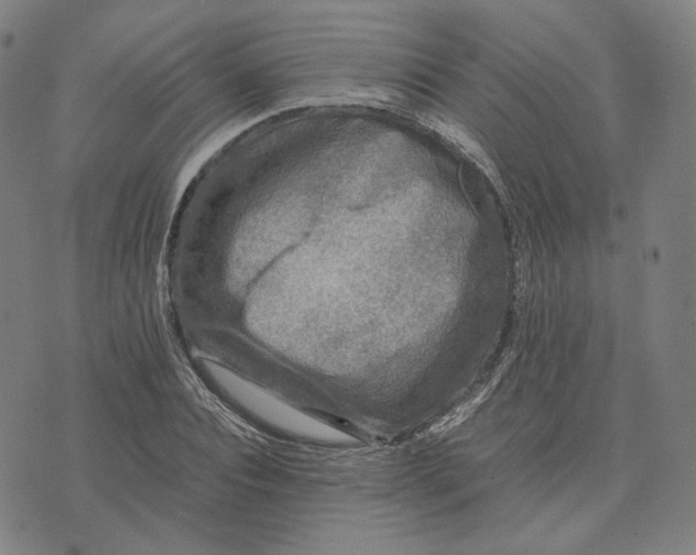 X0000071790928200607211618