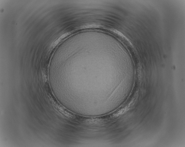 X0000071790929200607211618