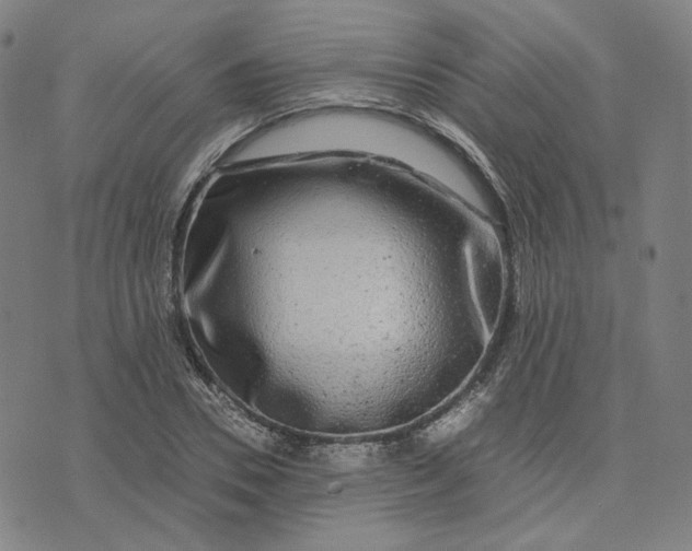 X0000071790930200607211618