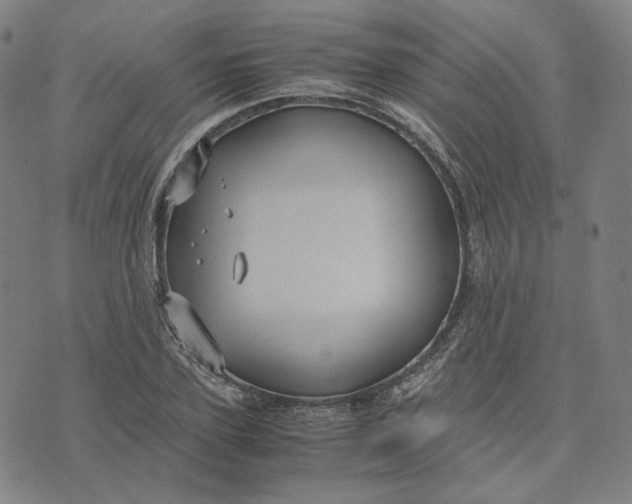 X0000071790931200607211618