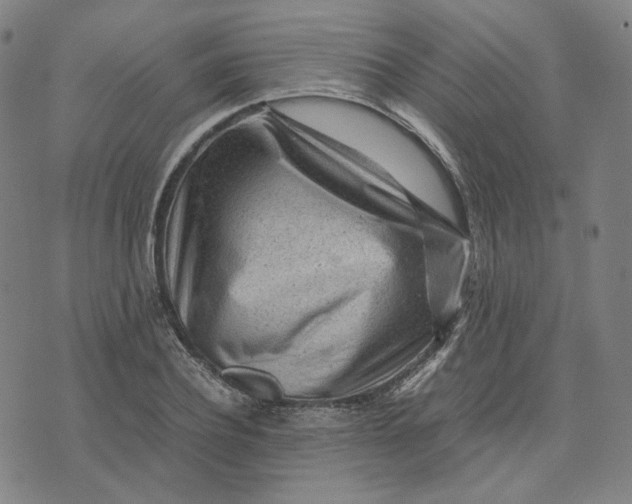 X0000071790932200607211618