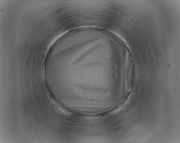 X0000071790933200607211618