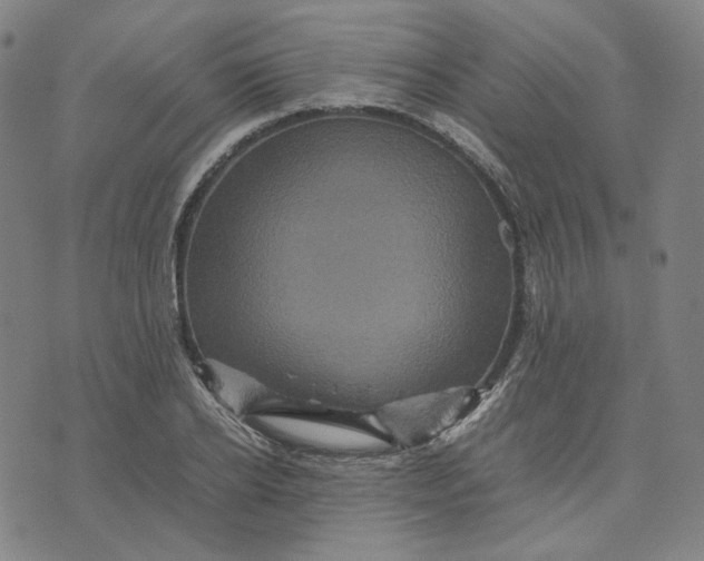 X0000071790934200607211618