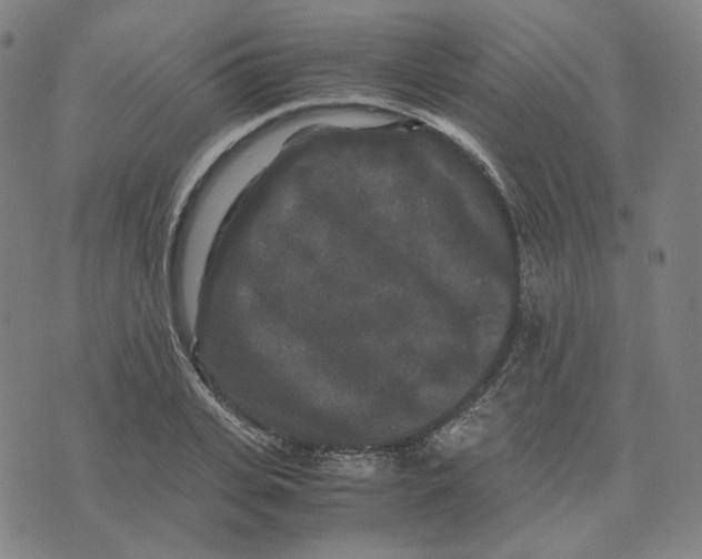 X0000071790935200607211618