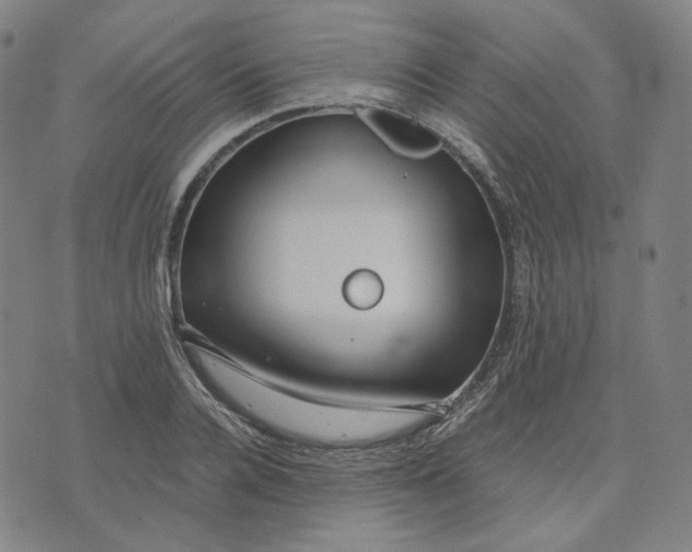 X0000071790936200607211618