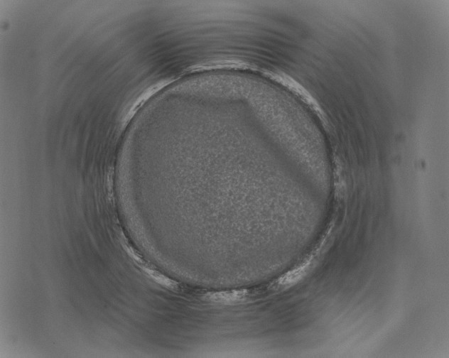 X0000071790937200607211618