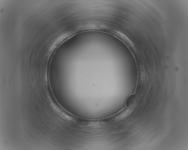 X0000071790938200607211618