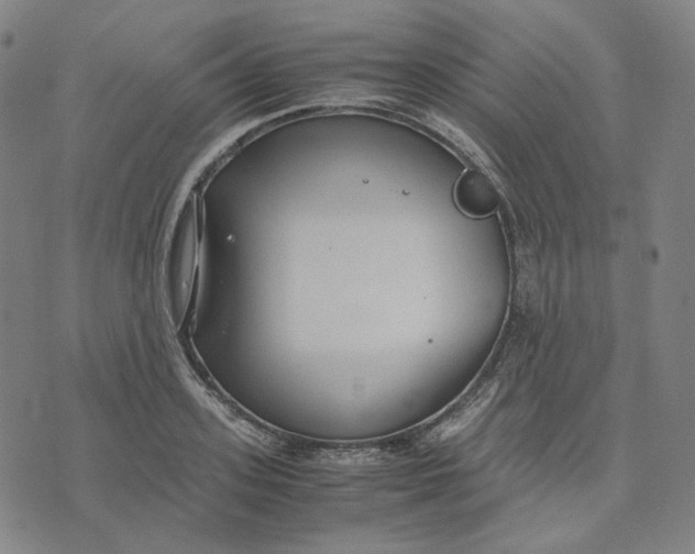 X0000071790939200607211618