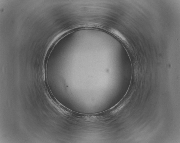 X0000071790940200607211618