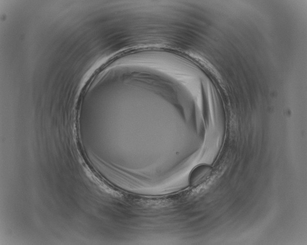 X0000071790941200607211618