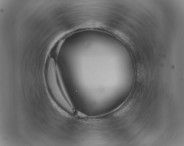 X0000071790942200607211618